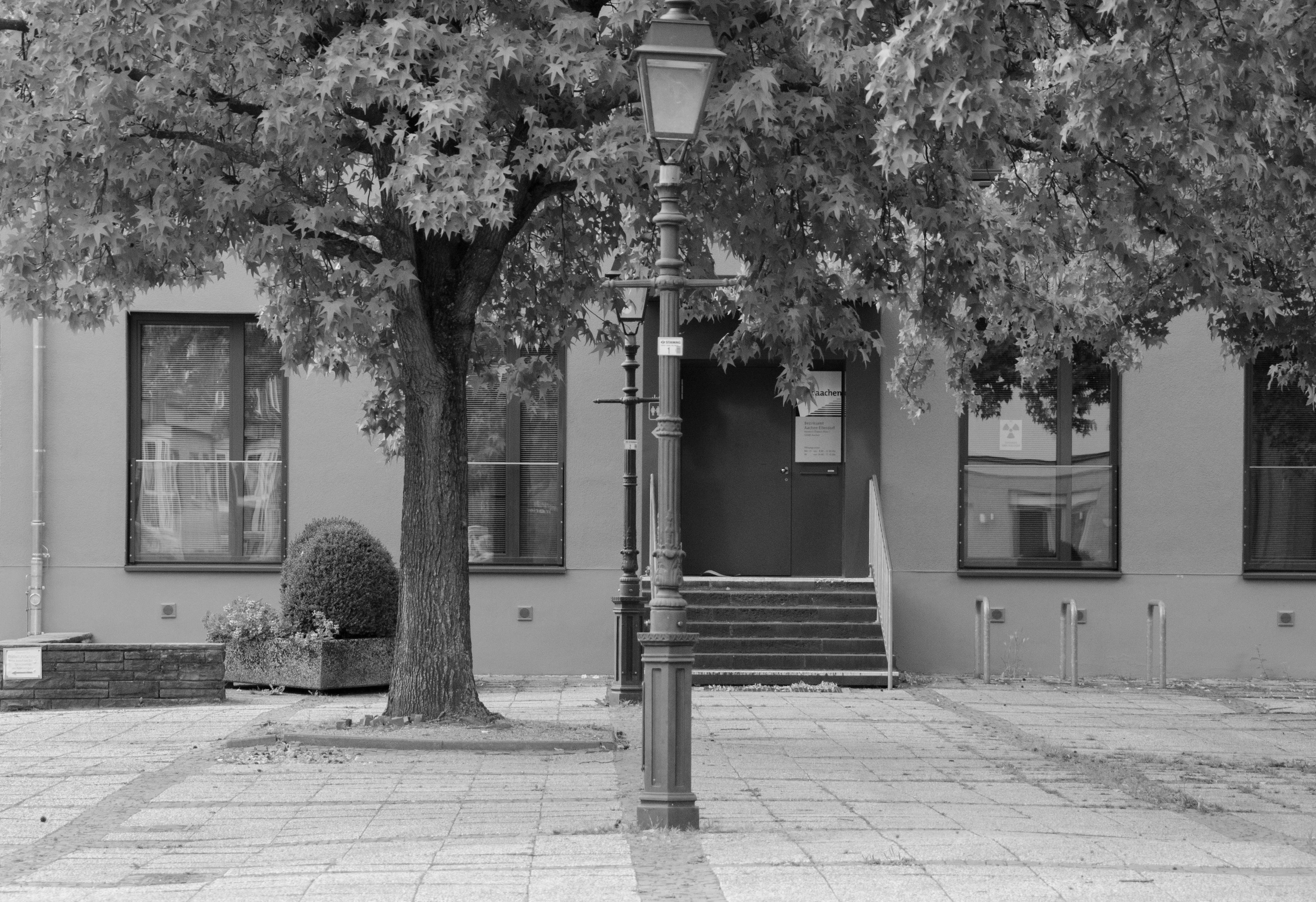 Bezirksamt bleibt am 12. Dezember geschlossen