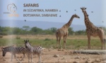 Eternal Afrika