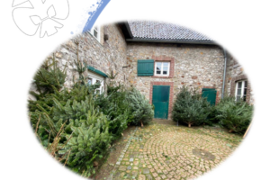 Weihnachtsbaumverkauf der Eilendorfer Pfadfinder